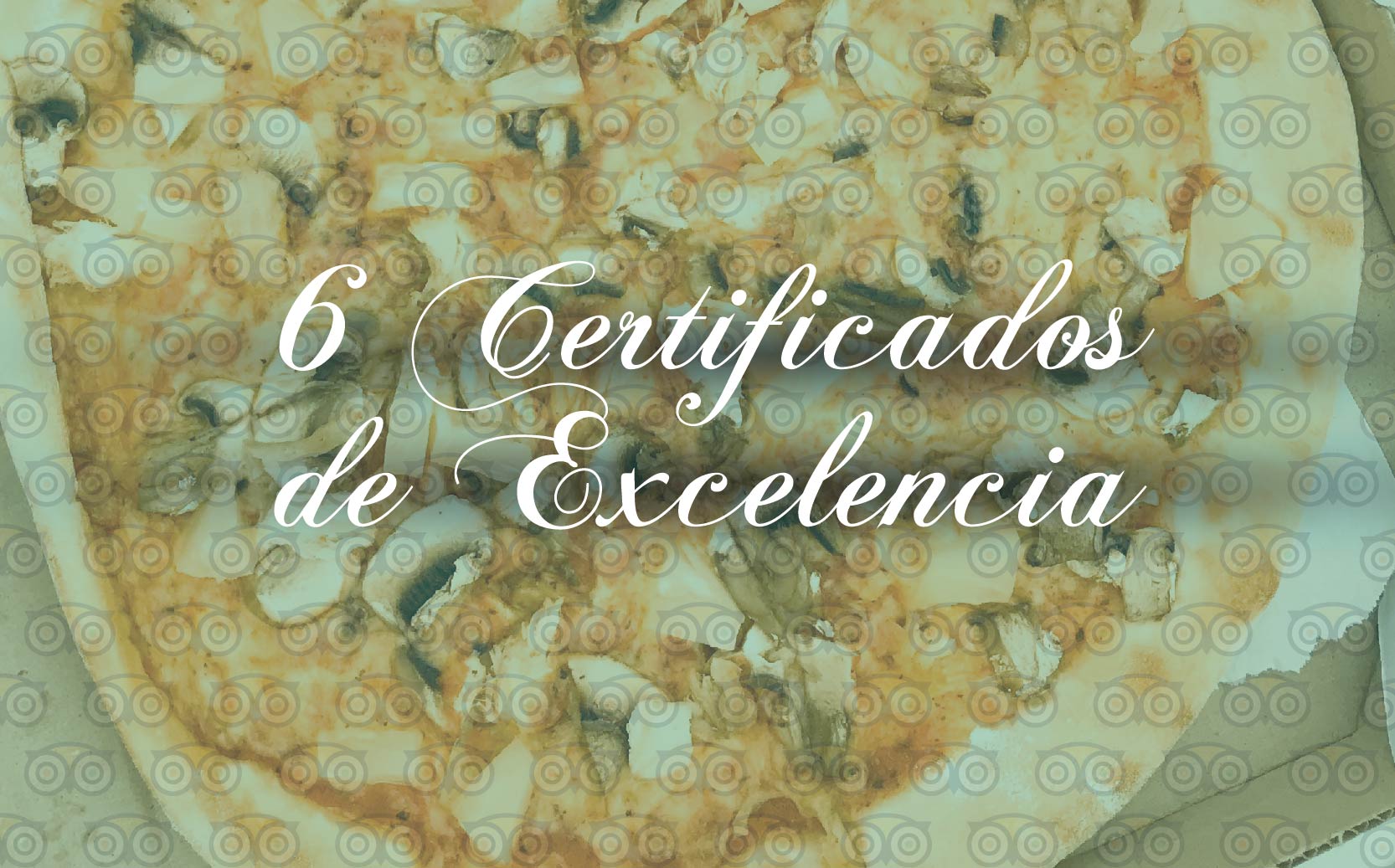 certificado-de-excelencia