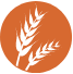 Gluten